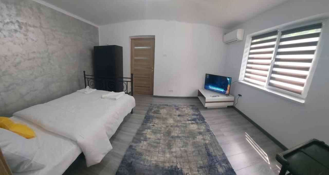 Andi 2-Apartament Băile Herculane Buitenkant foto