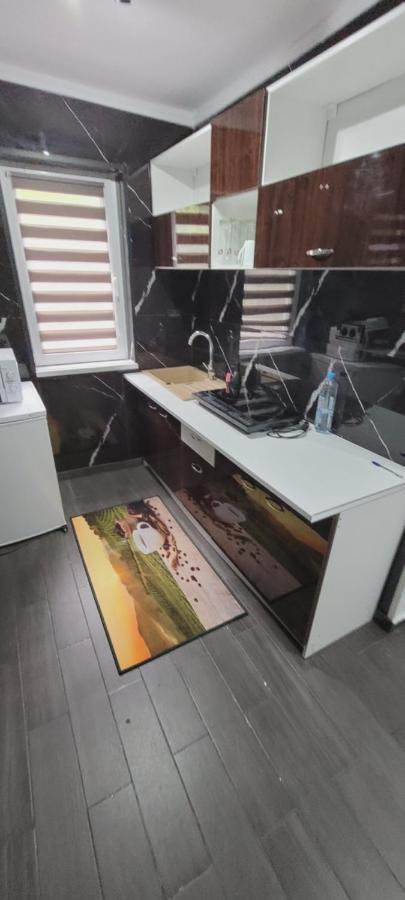 Andi 2-Apartament Băile Herculane Buitenkant foto