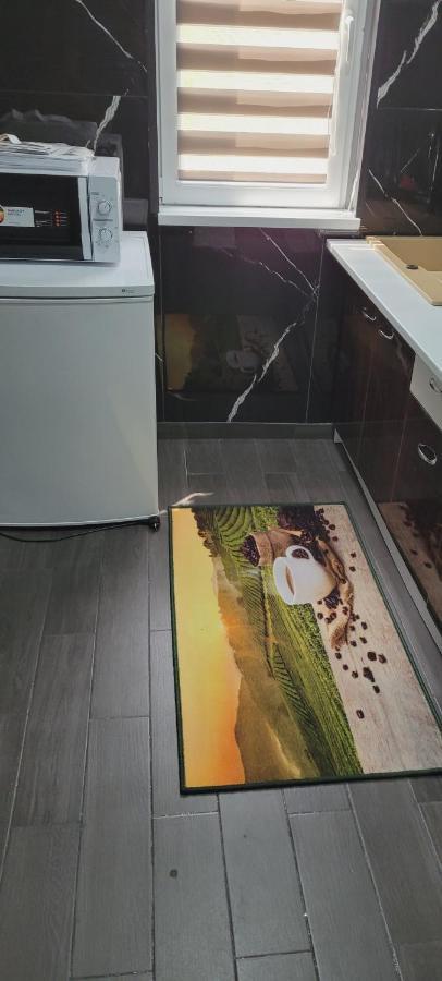 Andi 2-Apartament Băile Herculane Buitenkant foto